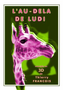 l-au-dela-de-ludi       